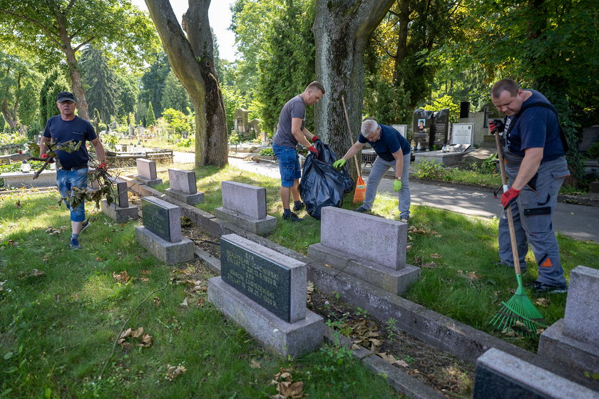 Trwają porządki na Starym Cmentarzu w Łodzi. Do akcji włączyli się pracownicy muzeum