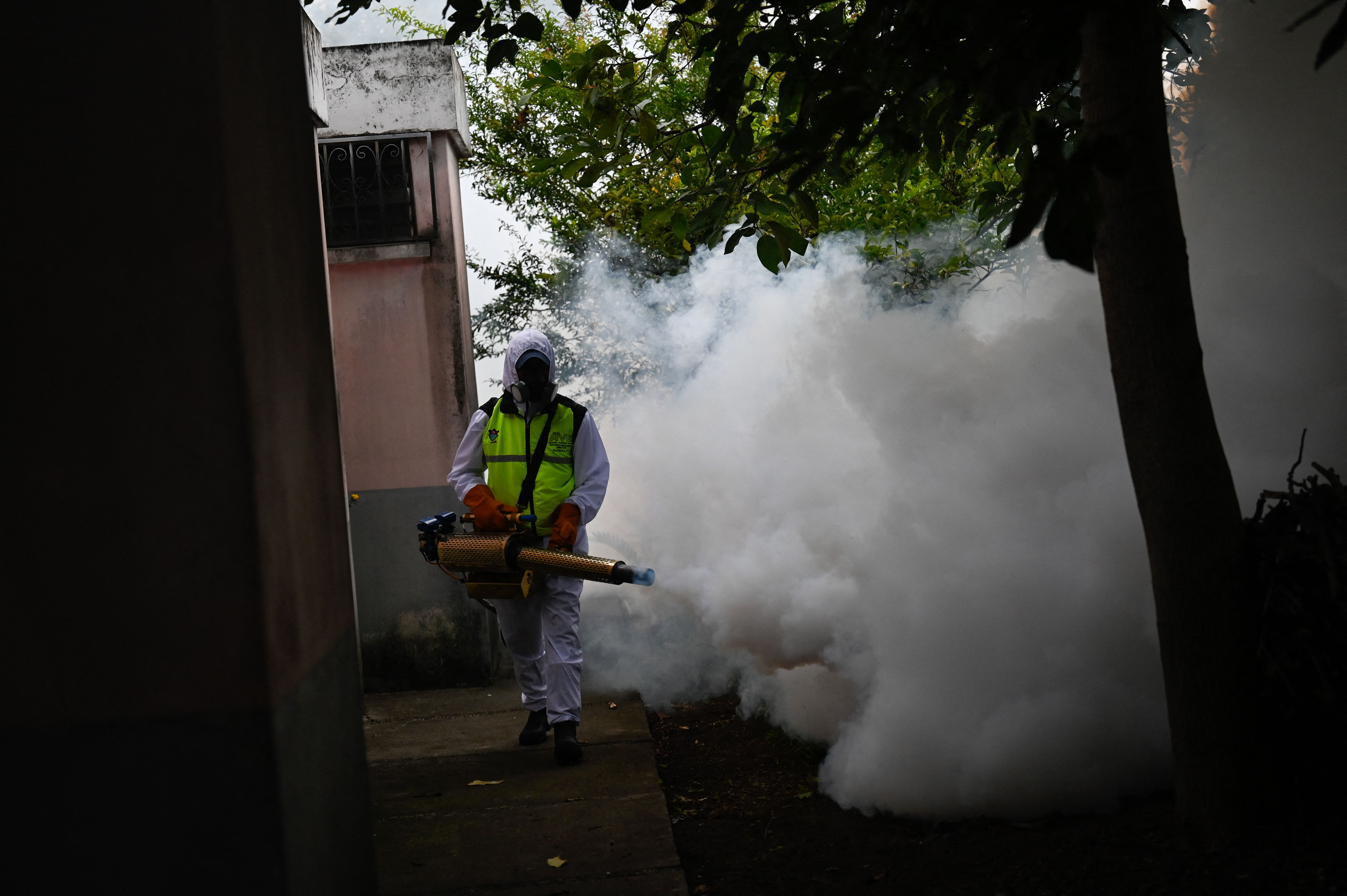 Cina: focolaio chikungunya a Foshan con 478 casi confermati