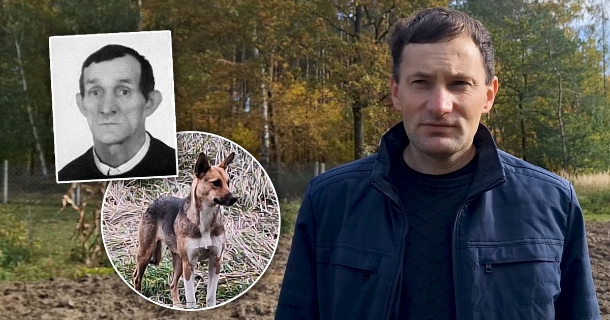 76-latek zagryziony przez psy? Syn: policjant spytał mnie, czy mam mocne nerwy