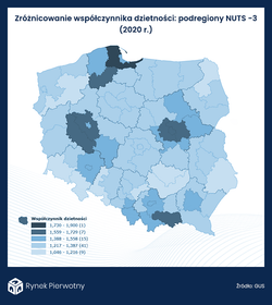Duże miasta przodują pod względem dzietności w Polsce. Jakie to będzie miało skutki?