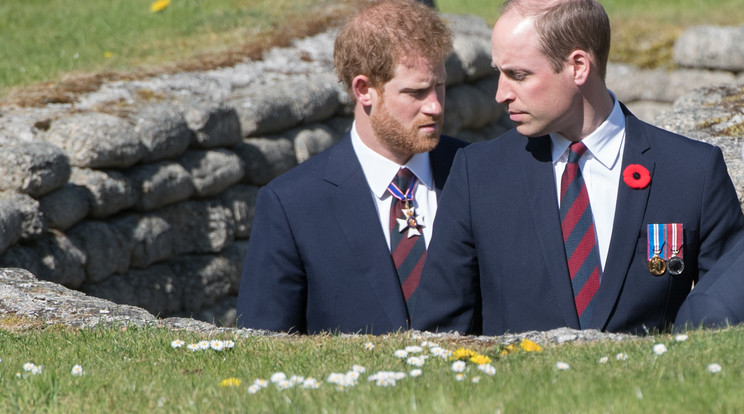 Harry és Vilmos herceg sokáig jó testvérnek tűntek, de kiderült, régóta megromlott a viszonyuk /Fotó: GettyImages