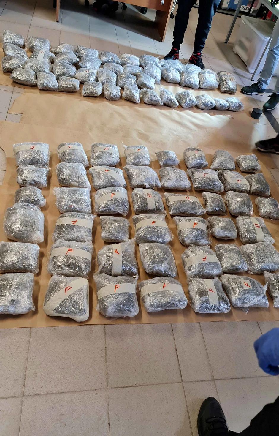 38 kilograma marihuane krio u kolima