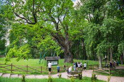 Pominiki przyrody doczekają się lepszej ochrony