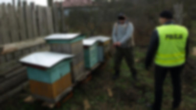 Nowe Kramsko: pszczelarz pszczelarzowi ukradł ule