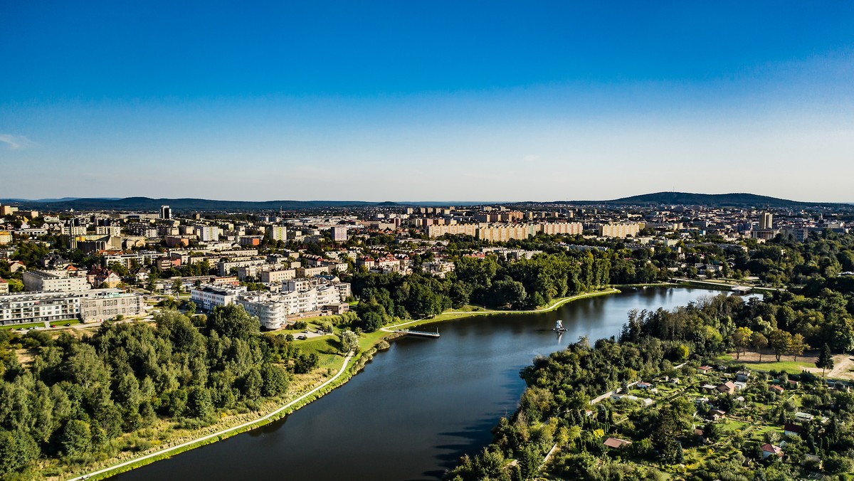 Kielce. Ranking miast, w których jest najwięcej zieleni