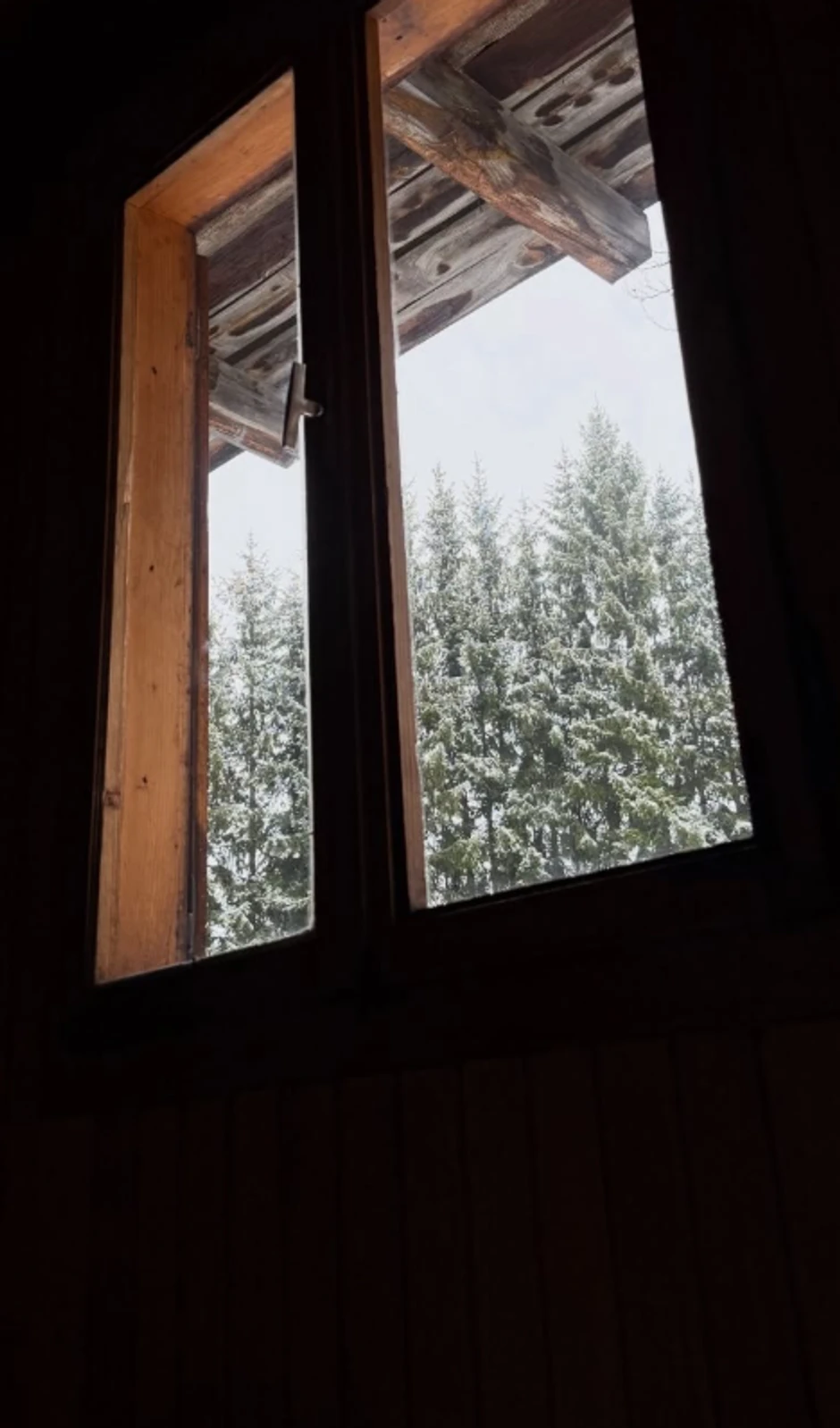 Maša Memedović na Tari