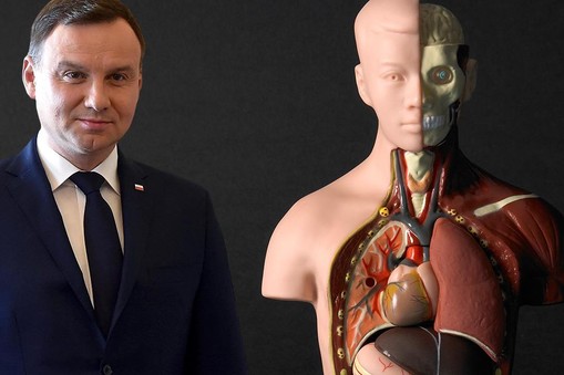 Andrzej Duda, organy