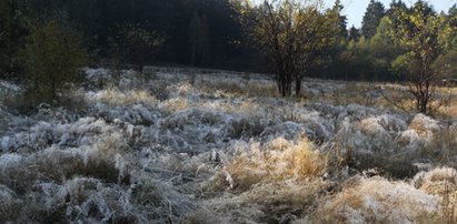 Wraca zima? Temperatura drastycznie spadnie!