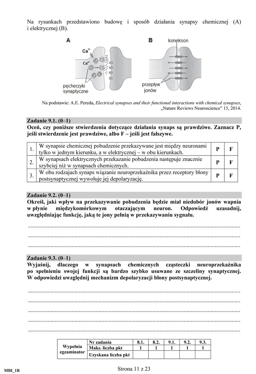 Matura 2017 z biologii poziom rozszerzony. Nowa formuła. Odpowiedzi