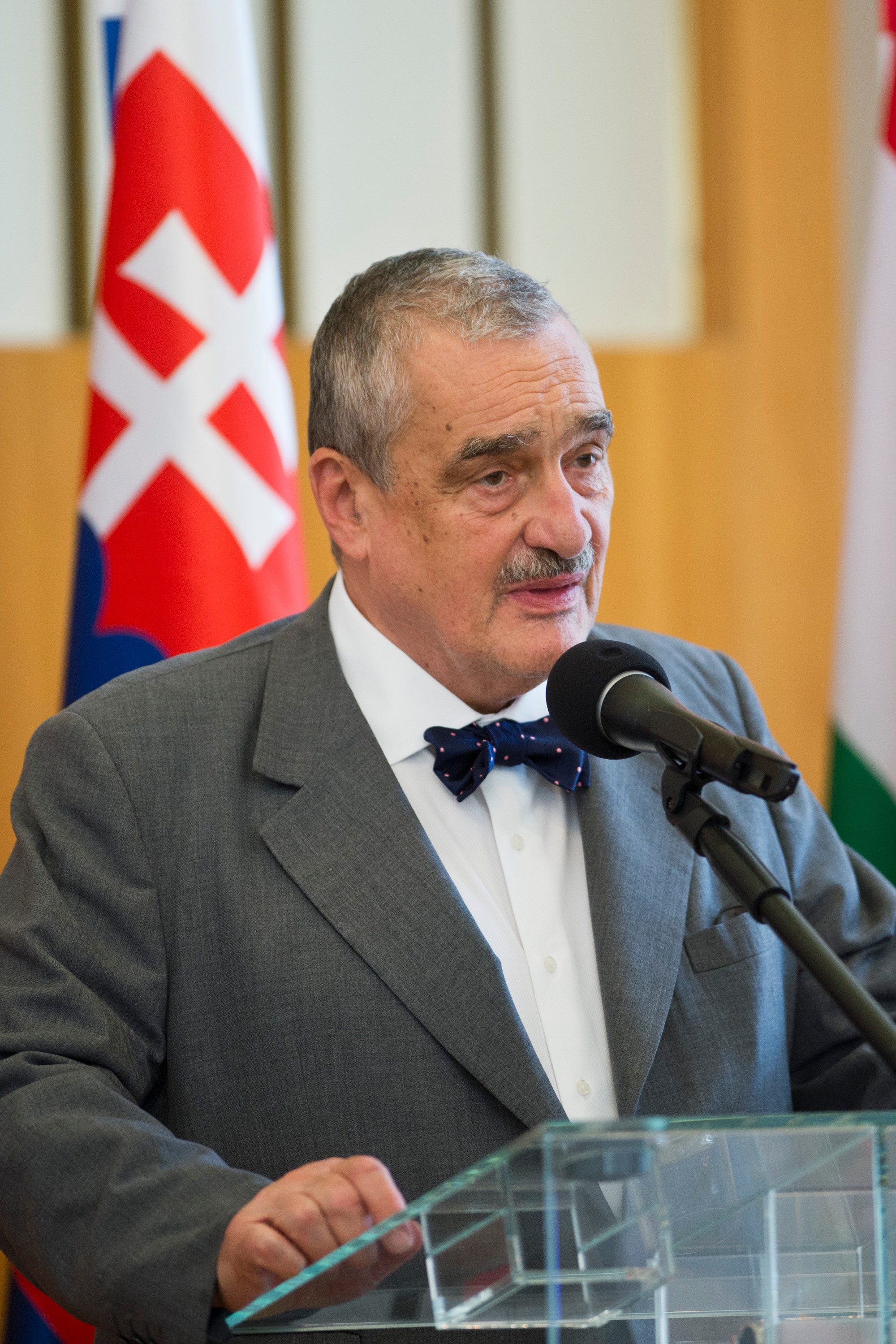 Politik Karel Schwarzenberg.