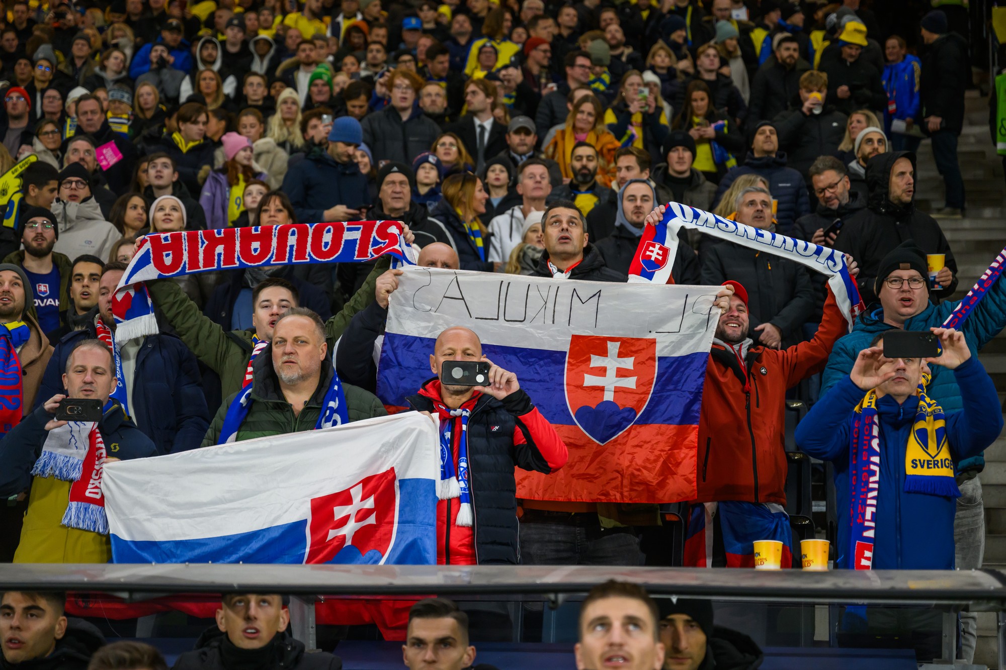Slovenskí fanúšikovia počas zápasu so Švédskom.