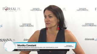 Constant: Francja chce dekarbonizować Europę. Kryzys energetyczny tego nie zmienia