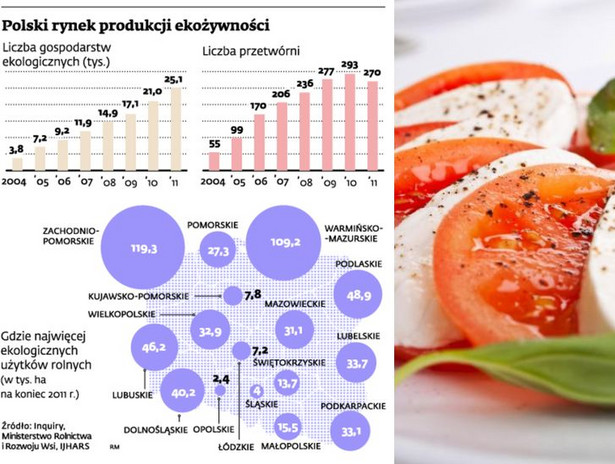 Polski rynek produkcji ekożywności