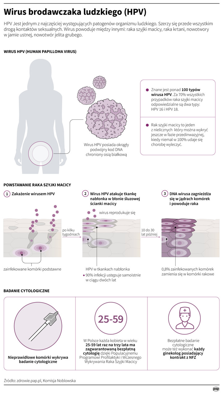 Wirus HPV