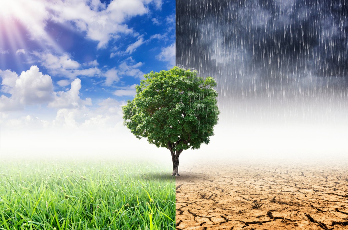 Czym jest i skąd się wzięła "polityka klimatyczna"?