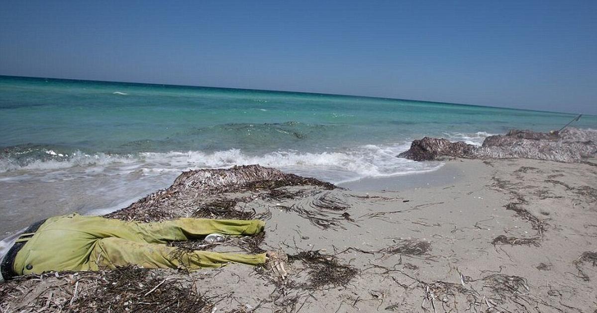 На берег выброшен грозою. Ливия пляжи. Мёртвое тело на берегу моря.
