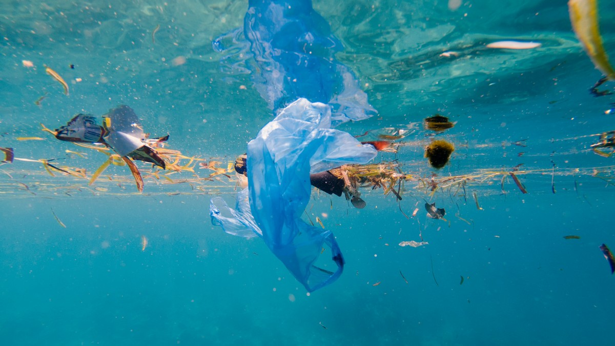 Klimat Ziemi wciąż bije rekordy za rekordem. Ogromnym problemem jest plastik w oceanach, którego wciąż przybywa. Wydaje się, że nie mamy wpływu na środowisko, bo zaledwie 100 firm odpowiada za 71 procent światowej emisji gazów cieplarnianych. To jednak nieprawda. Zmieniając nawyki i pamiętając o drobnych rzeczach naprawdę możemy pomóc planecie.