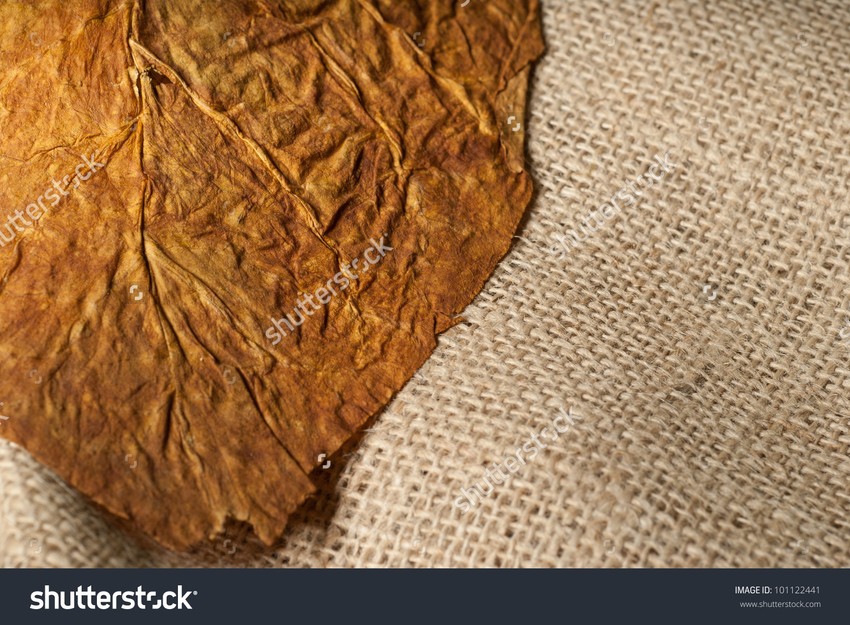 Pronađeno je oko 1,2 tone duvana u listu