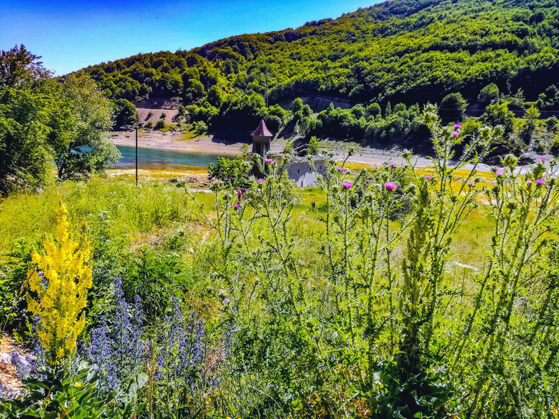 Jezioro na terenie Parku Narodowego Mavrovo