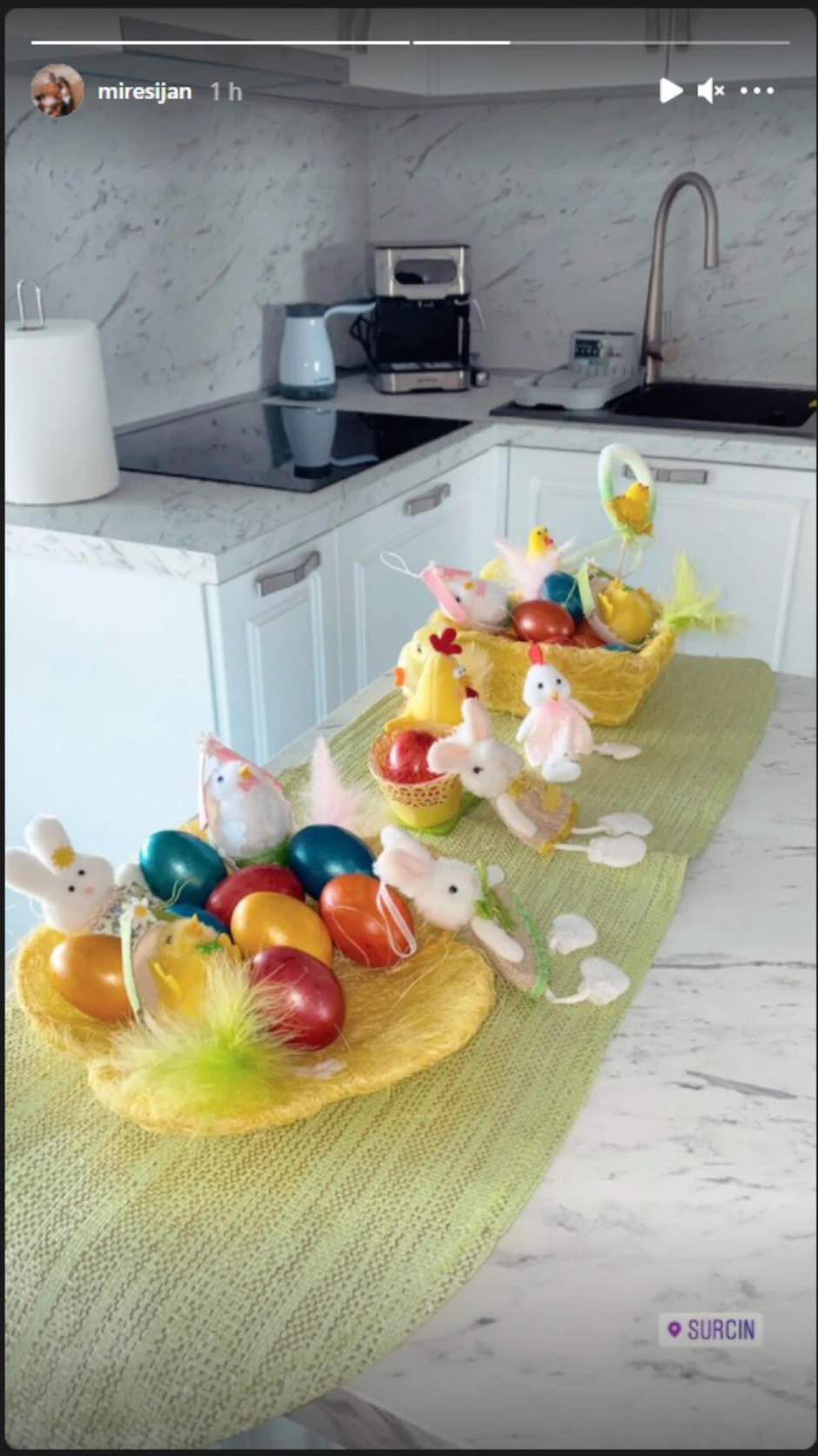 Bojana Rodić i Mirko