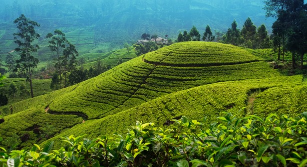 Sri Lanka