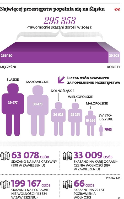 Najwięcej przestępstw popełnia się na Śląsku