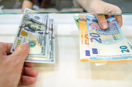 Złoty rośnie w siłę. Na przekór globalnym trendom i głównym konkurentom