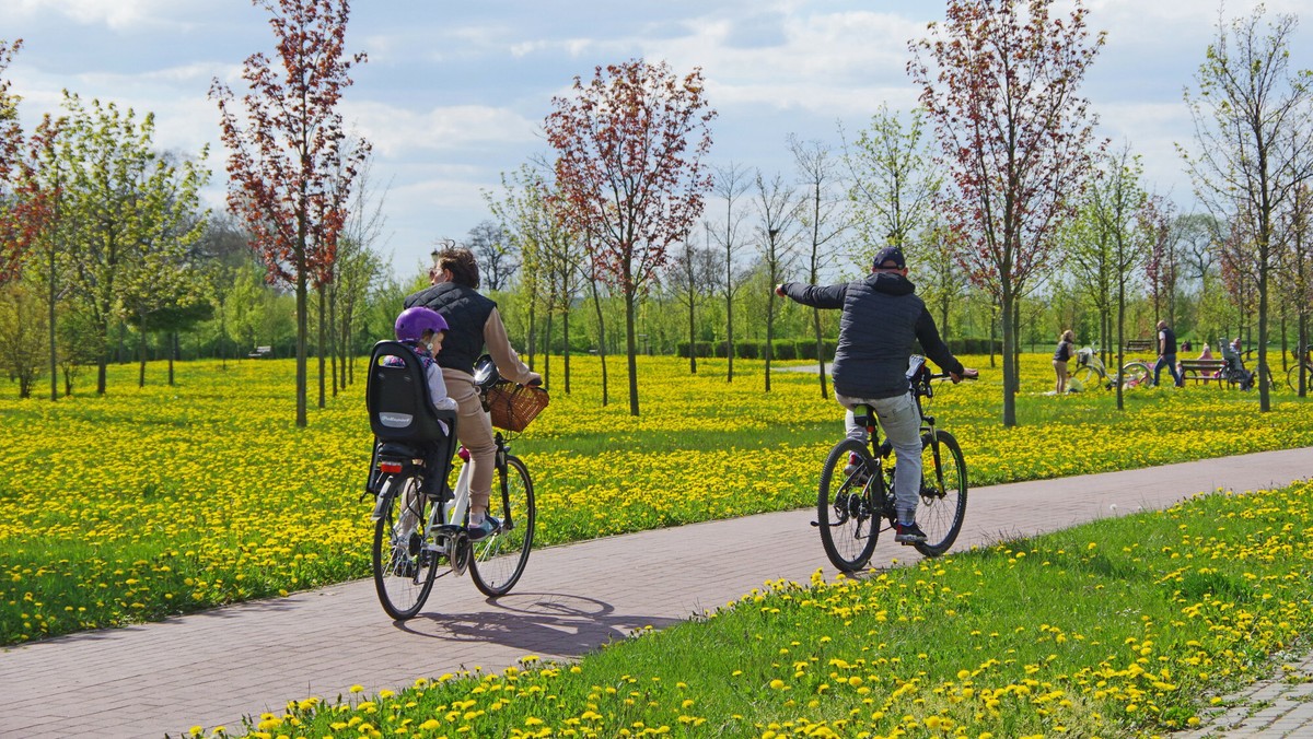 Majówka 2024: Jak maksymalnie wykorzystać dni wolne od pracy? - Wiadomości