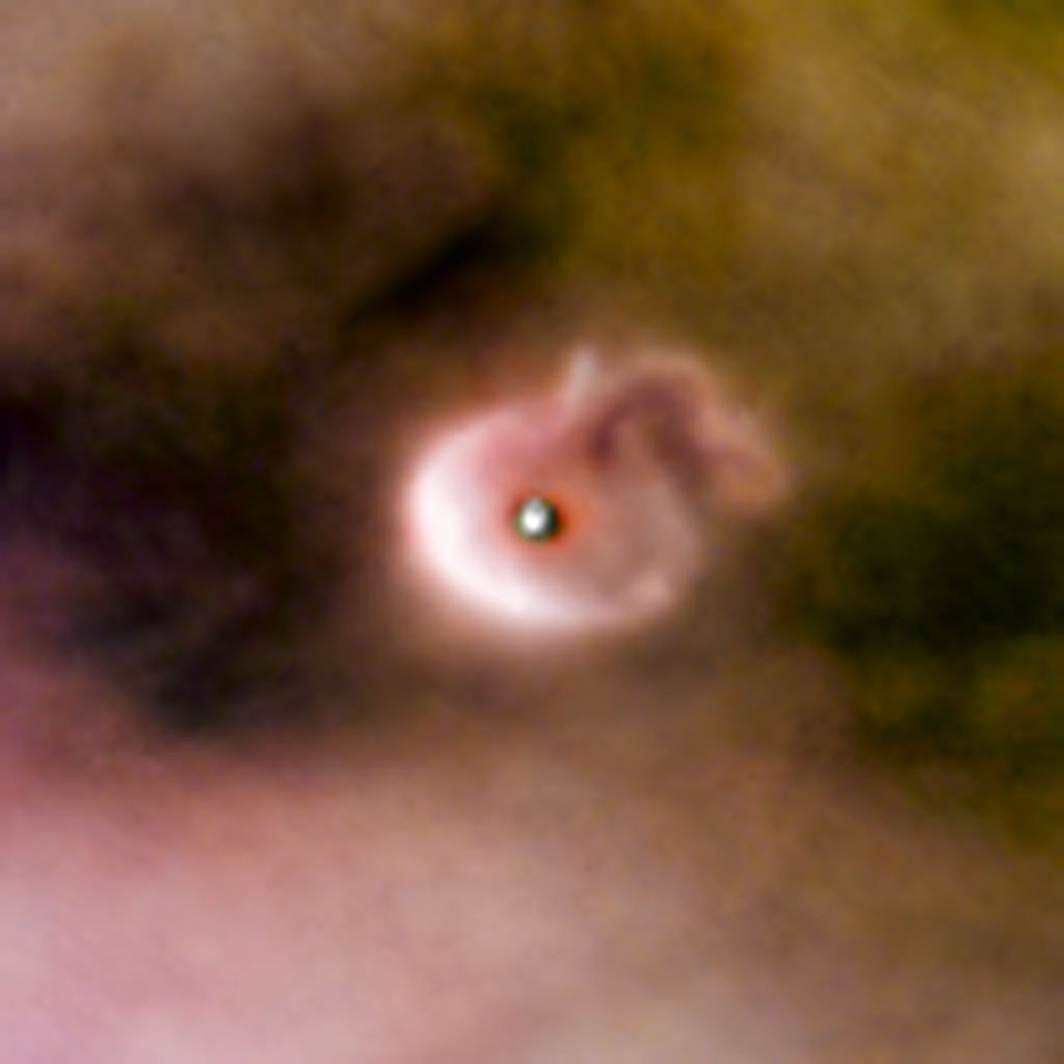 Born in beauty: proplyds in the Orion Nebula