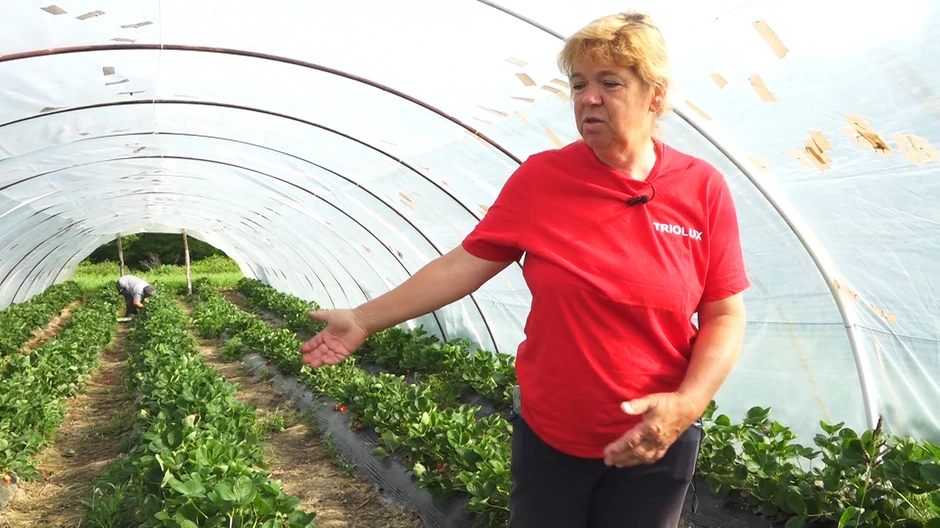 BERBA PORANILA MESEC DANA