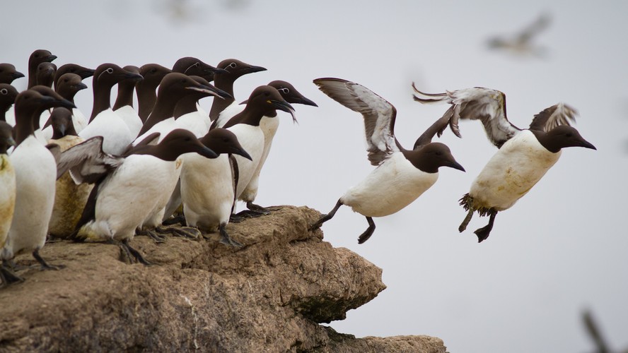 'Dzika Ameryka'. Zdjęcia z nowego serialu Discovery Channel