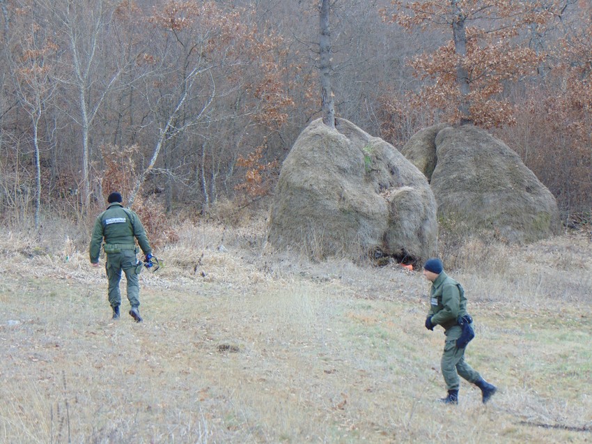 Policijska potraga se proširila ka Zaječaru