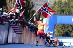 Johaug i Klaebo dostaną solidne premie za... nieobecność