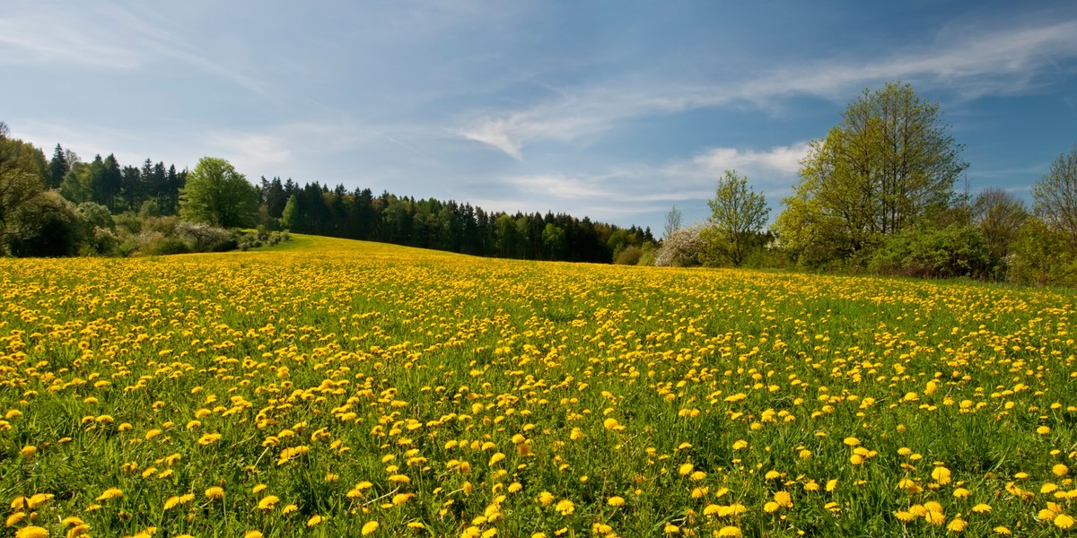 Czwartek 19.05. pogodny. W piątek 20.05. uwaga na burze!