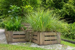 Są piękne, uniwersalne i mają małe wymagania. Gdzie najlepiej sadzić trawy ozdobne?