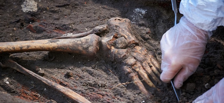 Tutaj znaleziono szczątki "Inki". Kolejne makabryczne odkrycie na cmentarzu. ZDJĘCIA