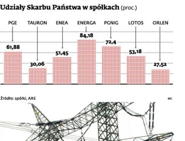 Udziały Skarbu Państwa w spółkach (proc.)