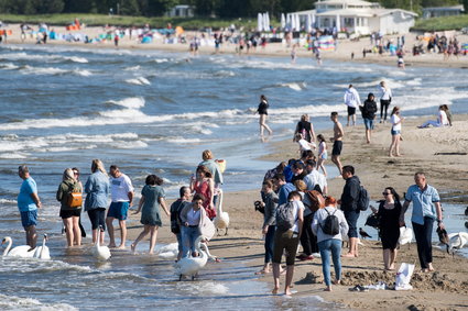 Koniec pandemii? Karty płatnicze Polaków nie kłamią