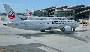 A Japan Airlines Boeing 787 plane.AFP/Getty Images
