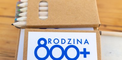 Rusza nabór na 800 plus. Na co idą te pieniądze?