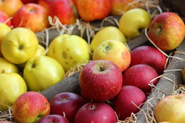 8 zaskakujących korzyści wynikających z jedzenia jabłek
