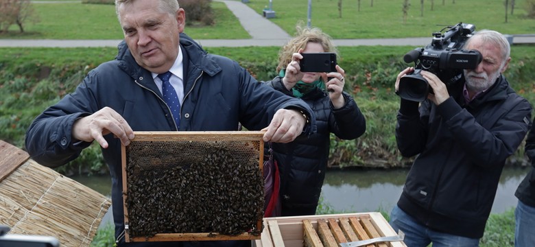 Białystok: powstała pierwsza miejska pasieka