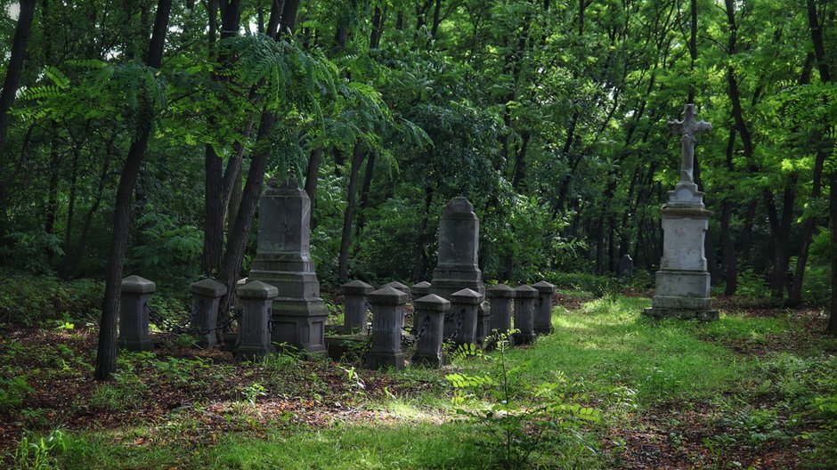 Cmentarz olęderskich osadników