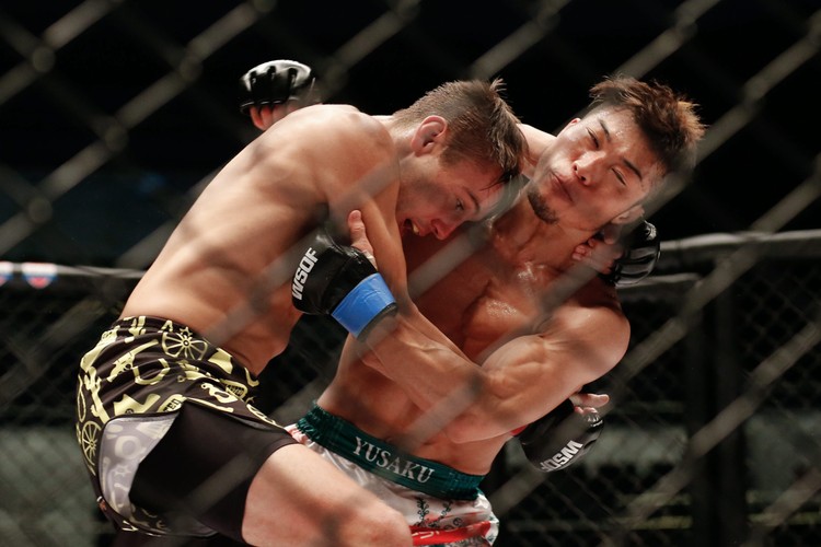 Ale młócka! MMA to nie tylko UFC i KSW