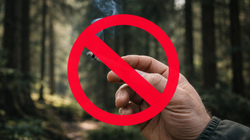 60 tys. zł – rekordowe grzywny dla palaczy papierosów. Gdzie lepiej nie palić?