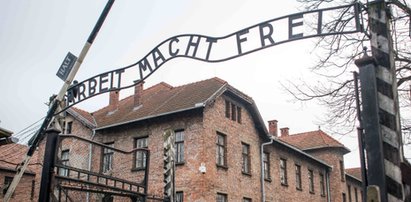 Holenderka zapłaciła za swoją głupotę. Wykonała ten gest przy bramie do Auschwitz