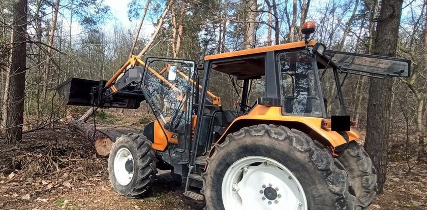 Tragedia w prywatnym lesie. 42-latek zginął na oczach ojca