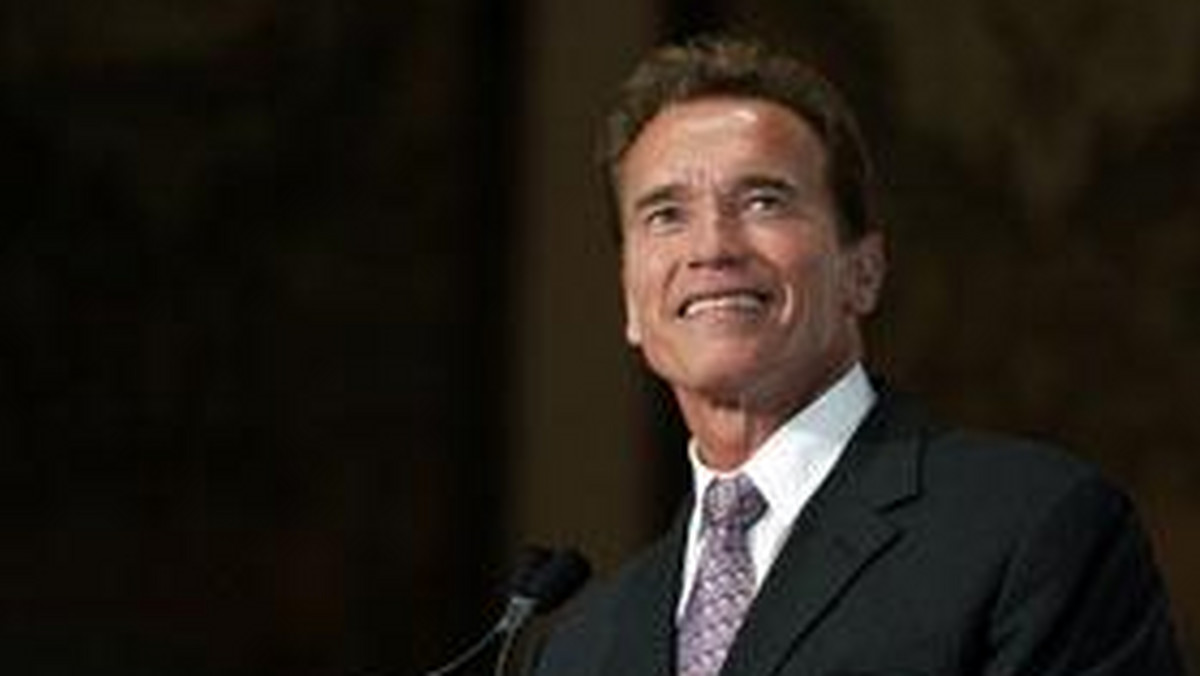 Od jakiegoś czasu po sieci krąży plotka, iż były hollywoodzki gwiazdor, a obecny gubernator Kalifornii, Arnold Schwarzenegger, chciałby wrócić na duży ekran.