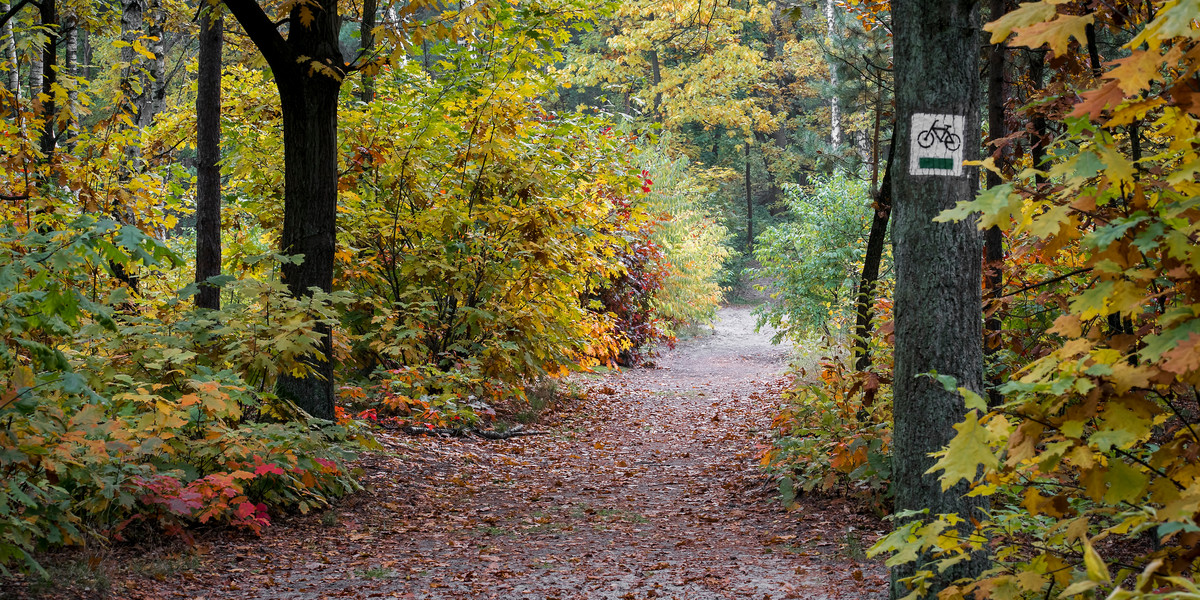 Z opłaty wstępu nie będą już zwolnieni mieszkańcy sąsiadujących z parkiem gmin