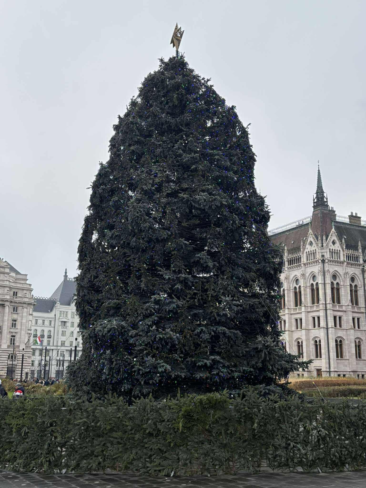 Vianočný stromček pred budovou maďarského parlamentu. 